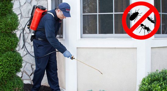 Poligon Tahtakurusu İlaçlama böcek ilaçlama ve haşere kontrolü — ilaclama-tr.com